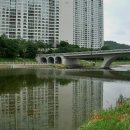 탄천 이미지