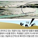 갯골수로2 이미지