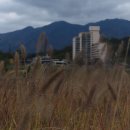 행구수변공원 이미지