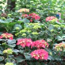 갈매공원 이미지