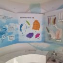 경주부화장 이미지