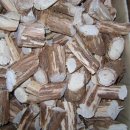 담쟁이농장 이미지