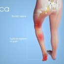 와이트레이닝스튜디오 이미지