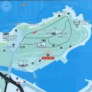 동백바다 이미지