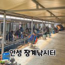 장계 | 안성 방갈로 하우스 빙어낚시 장계낚시터 후기