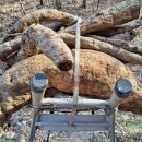 해오름농원 이미지