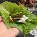 행운숯불갈비 - 영주시 동양대로 39 | [서귀포] 제주 여행 중 발견한 찐 현지인 맛집 | 행운숯불갈비 | 내돈내산 후기