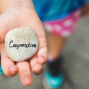 협동조합살길 이미지