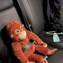 지에스25병천탑클래스점 이미지