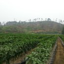 목천원주아파트 이미지