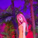 네이처(Nature) 이미지