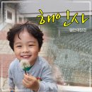 해인사 | 합천 해인사 방문 후기, 아이와 함께 다녀온 팔만대장경과 현실적인 여행 팁