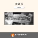 도하동물병원 이미지