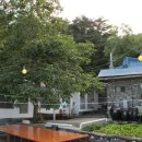 아름드리민박 이미지