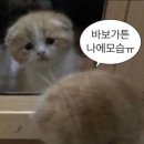 인아웃복싱 | [왈츠의 복싱기록🎶🥊3] 6월 둘째주- 복싱 PT와 매일의 기록