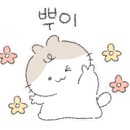 바울레