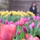 박지호농장 이미지