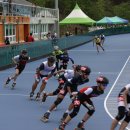 안동롤러경기장 이미지