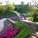 웅진민박 이미지