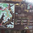 산수유마을
