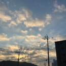 동문사 | 해피 11월 1주