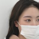 비비드아트