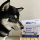 두리소프트(주) | 기호성 좋은 강아지 전연령 소프트 사료 [후디스펫 퍼펙트밀]