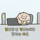 다들음 행정사 | 공인중개사 초시 동차 합격후기