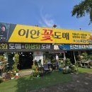 이안도매
