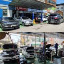 구미라지에타 이미지