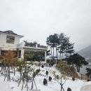 브레드쏭 이미지