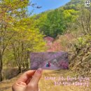월악산농장 네이버블로그