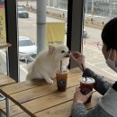 겟풀(GETPOOL) 이미지