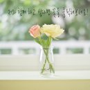 유쥬얼커피 이미지