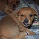 내가초교 이미지