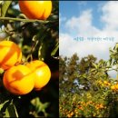 조아펜션 이미지