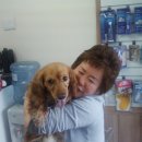 참조은 동물병원 이미지