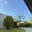 빌라쥬드 아난티 빌라동 | [빌라쥬 드 아난티 / 부산 기장] 풀빌라 + 럭셔리 리조트의 진수, 빌라쥬 드 아난티 숙박 후기