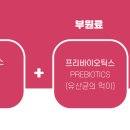 뷰티오틱스