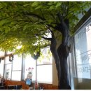 도투리 샤브칼국수 불광천 이미지