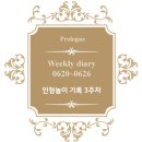 일루젼가든돌 | 0620~0626) 인형놀이 기록 3주