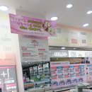 칼라안경랜드 이미지