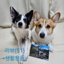 (액자 추천)엠투랩 메탈 사진액자 이용 후기