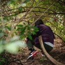 고양이동산 이미지