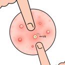 시원항외과의원 이미지