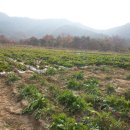 수지농장 이미지