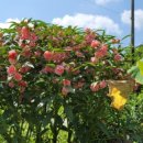 서희농장 이미지