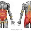 코어짐(Core Gym) 이미지