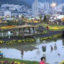 가고파플라워 이미지