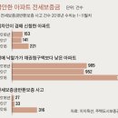 집값 하락 전세금 반환 깡통전세 사고 급증, 아파트 전세 보증금 및 서울 갭투자 지역 주의, 주택공사 전세금 반환보증 사고 현황 이미지